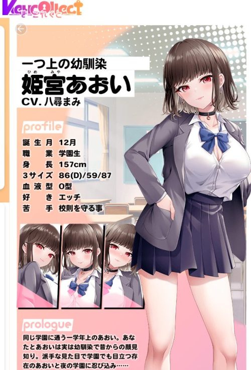 姫宮あおいプロフィール